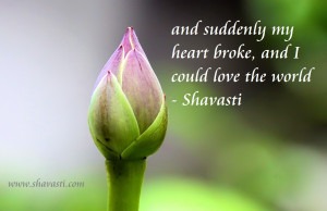 Click to see full sized